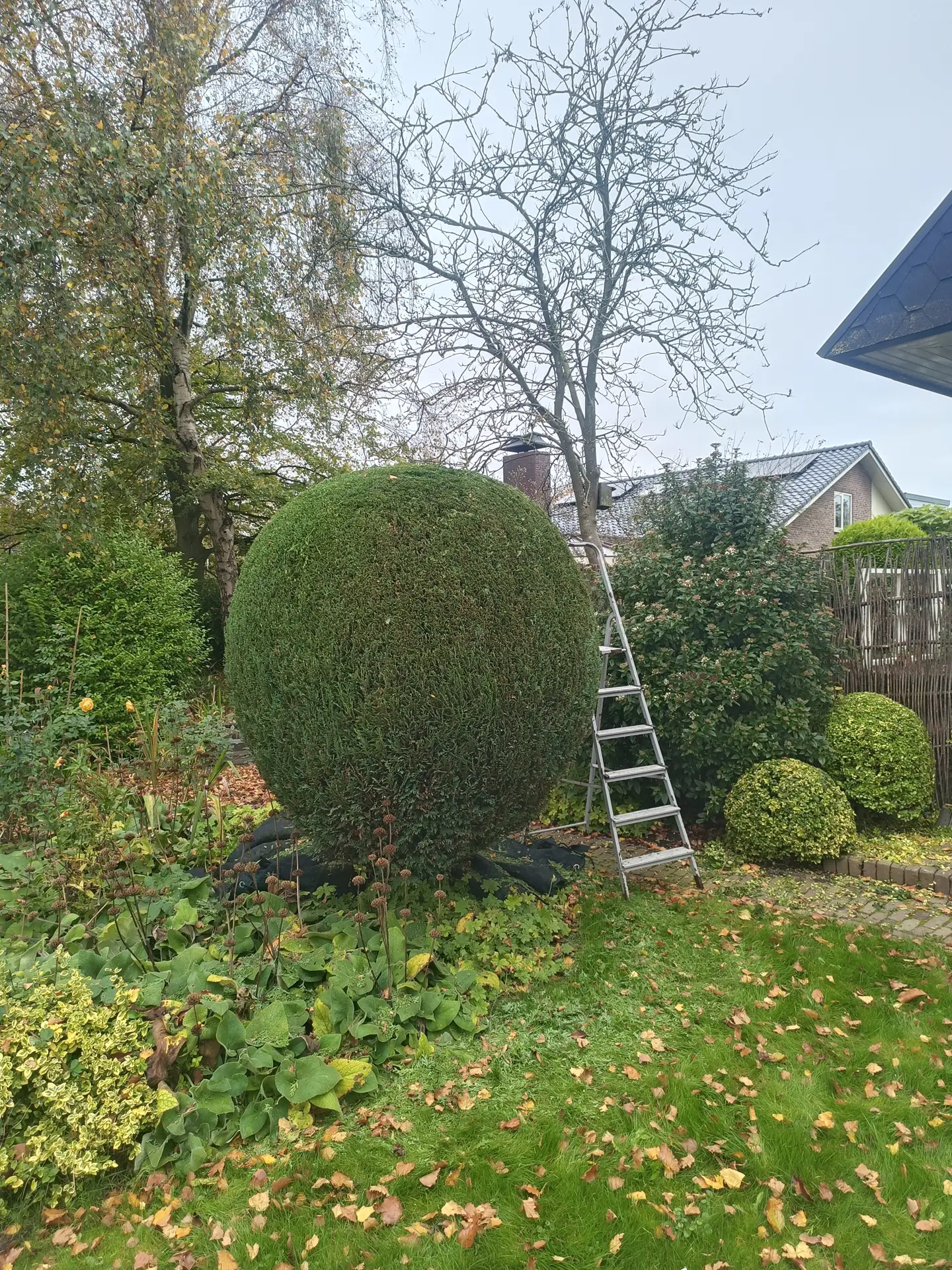 Tuin onderhoud – Kortekaas hoveniers2